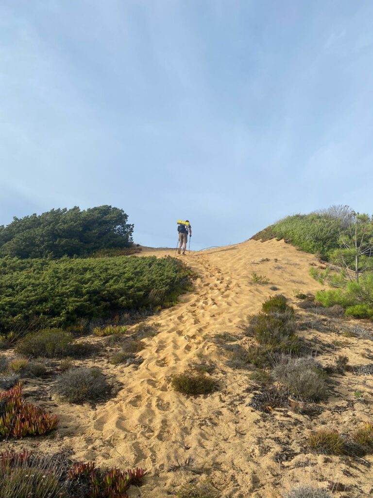 WhatsApp Image 2026-04-29 at 13.51.35 (1)