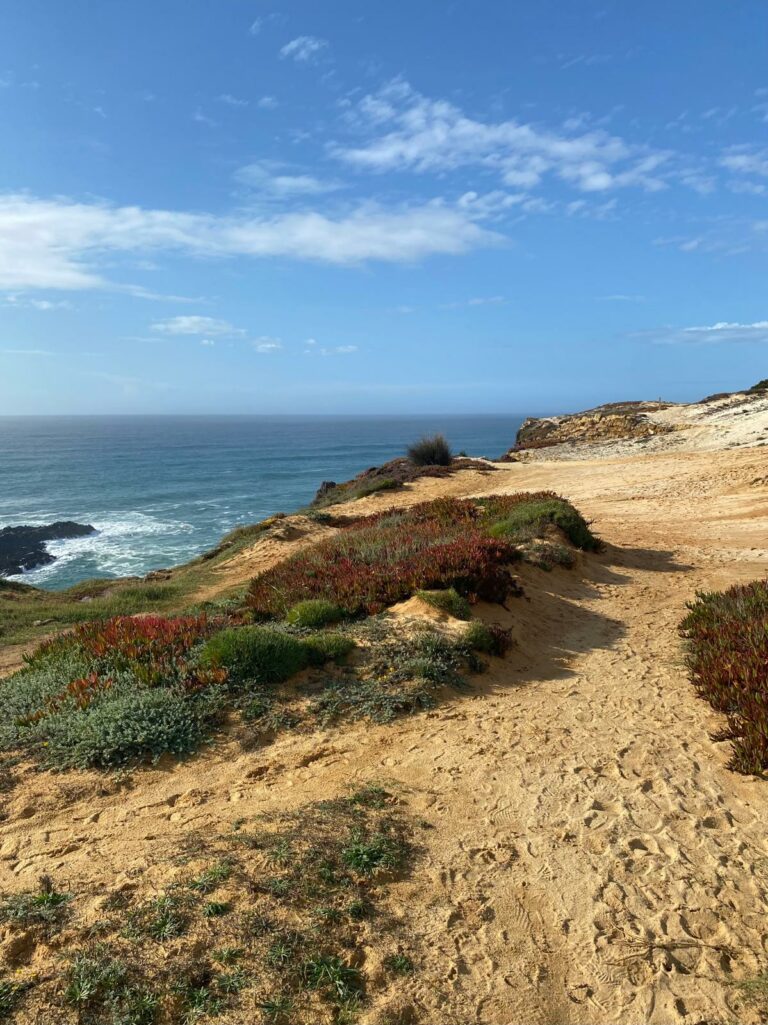 WhatsApp Image 2026-04-29 at 13.51.35 (4)