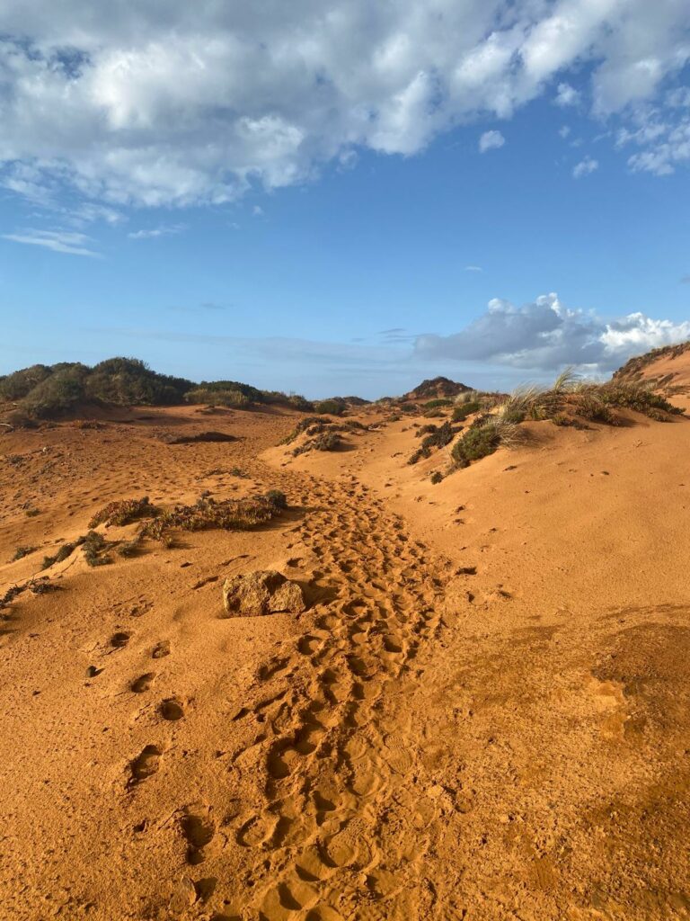 WhatsApp Image 2026-04-29 at 13.51.35 (6)